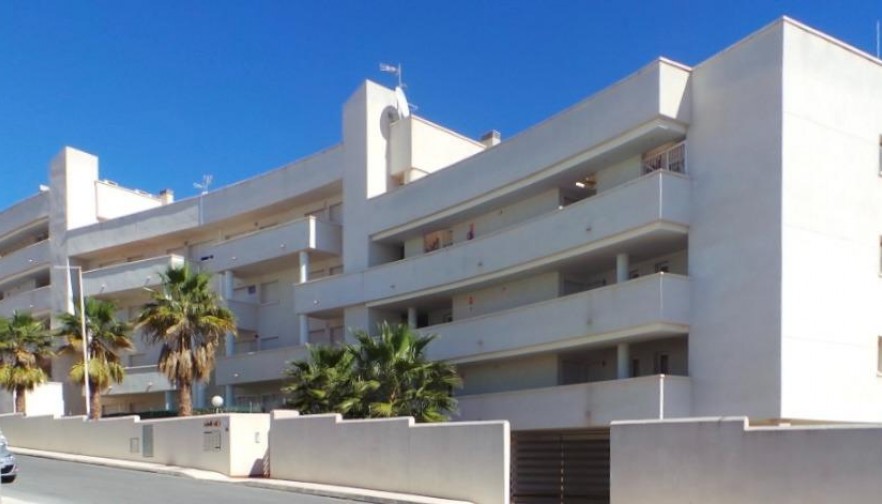 Apartment - Nueva construcción  - Orihuela Costa - PAU 8