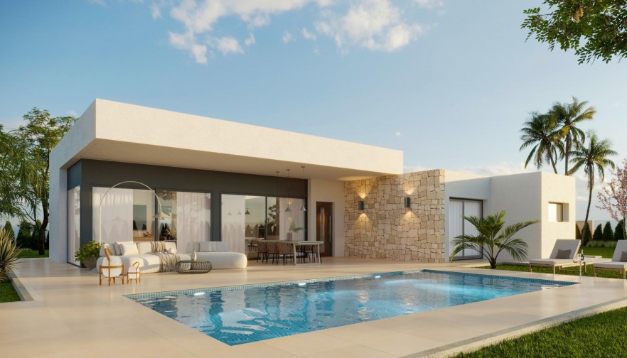Villa - Nueva construcción  - Aspe - Poligono 19