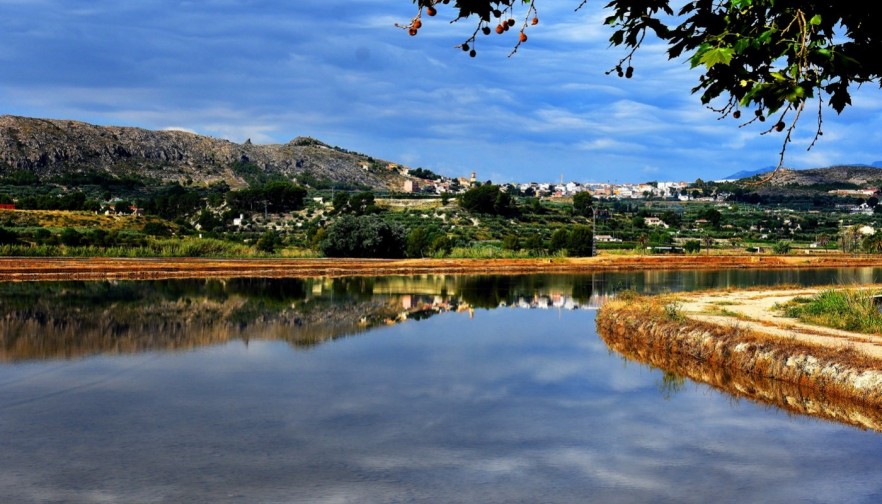 Nueva construcción  - Villa - Calasparra - Coto riñales