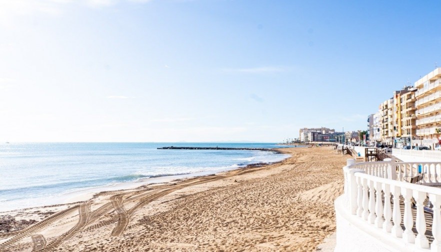 Nueva construcción  - Bungalow - Torrevieja - Lago jardin