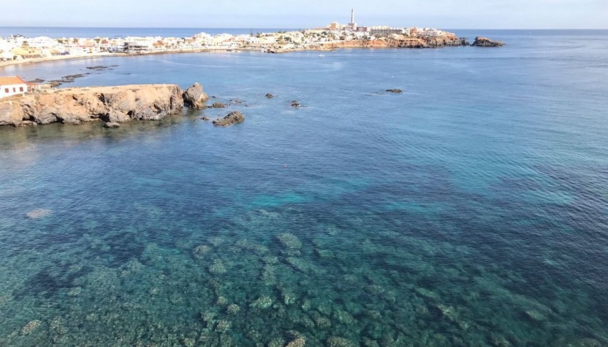 Rynek pierwotny - Willa - Cabo de Palos - Cala medina