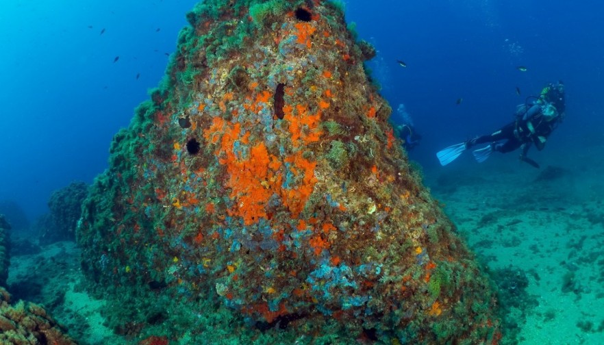 Nueva construcción  - Ático - Águilas - Isla del fraile