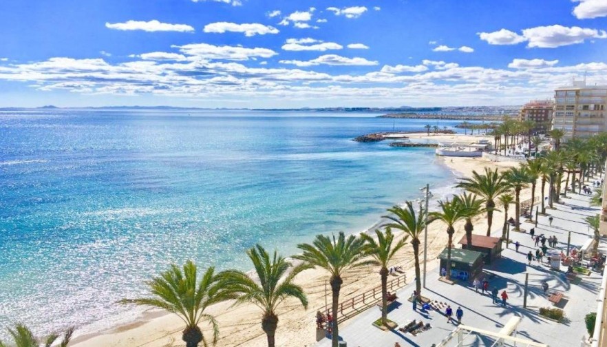 Nueva construcción  - Bungalow - Torrevieja - Lago jardin