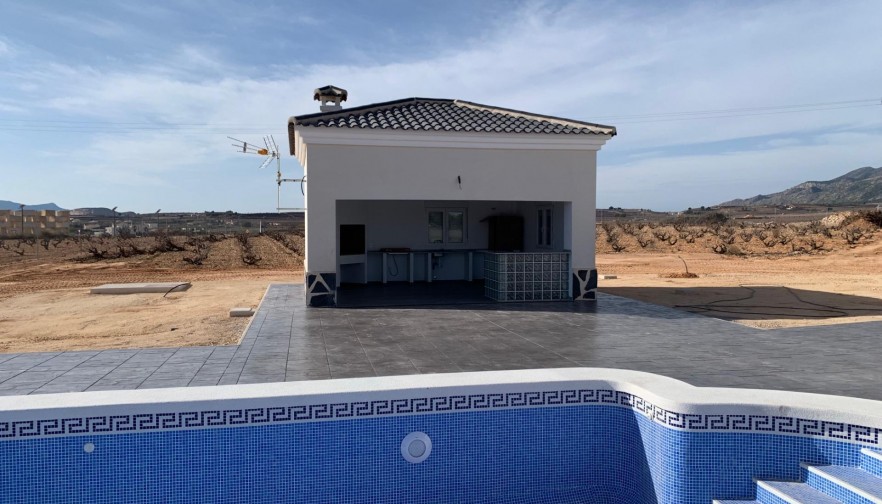 Nueva construcción  - Villa - Pinoso - Camino Del Prado