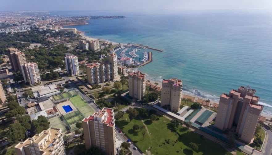 Rynek pierwotny - Apartment - Orihuela Costa - Campoamor