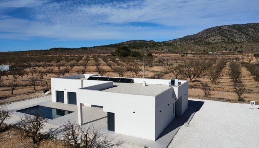 New Build - Villa - Pinoso - Campo