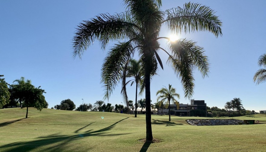 Nueva construcción  - Bungalow - San Javier - Roda Golf