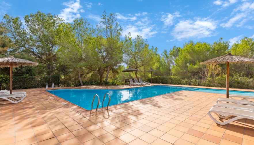 Reventa - Apartment - Orihuela - Las Colinas