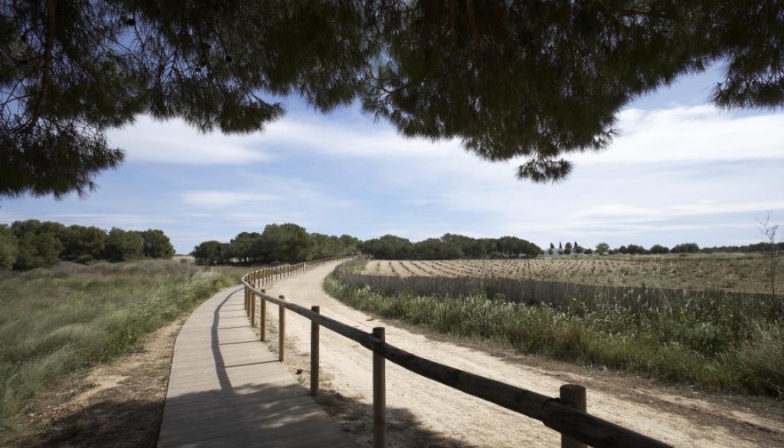 Rynek pierwotny - Dom parterowy - Torrevieja - Torrejón