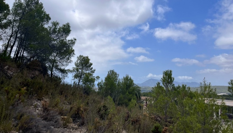Rynek wtórny - Działka - Altea - Sierra de Altea