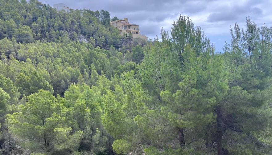 Rynek wtórny - Działka - Altea - Sierra de Altea