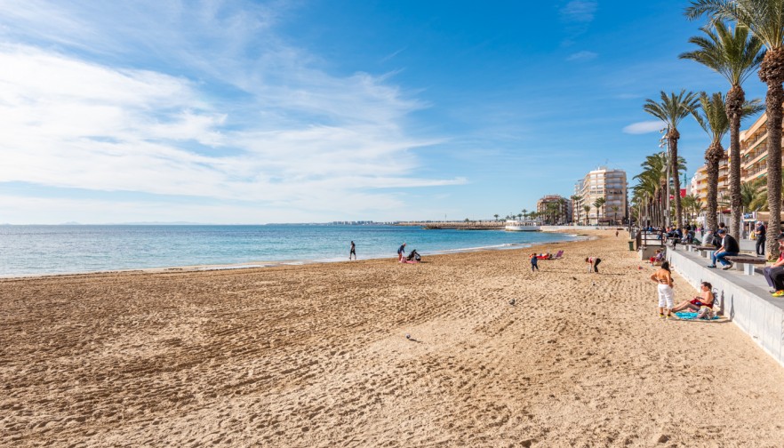 Rynek wtórny - Apartment - Torrevieja - Playa de los Locos