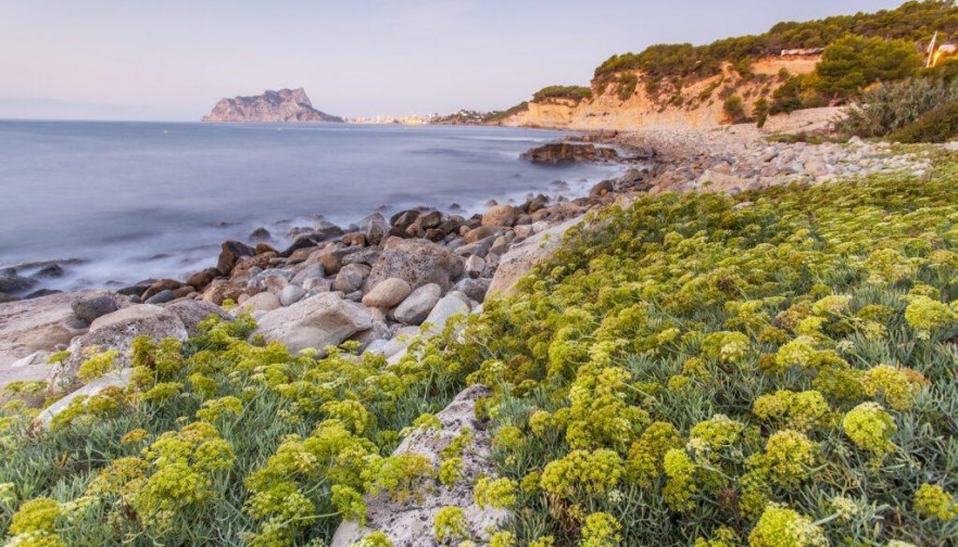 Rynek pierwotny - Willa - Benissa - Racó Del Galeno