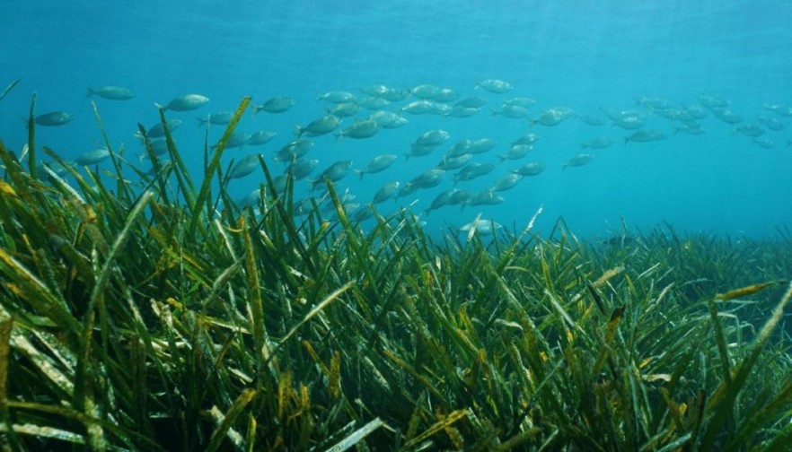 Rynek pierwotny - Willa - Benissa - Racó Del Galeno