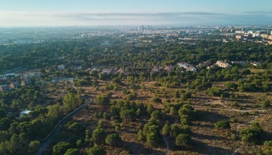 Rynek pierwotny - Ground floor apartment - Godella - Campolivar