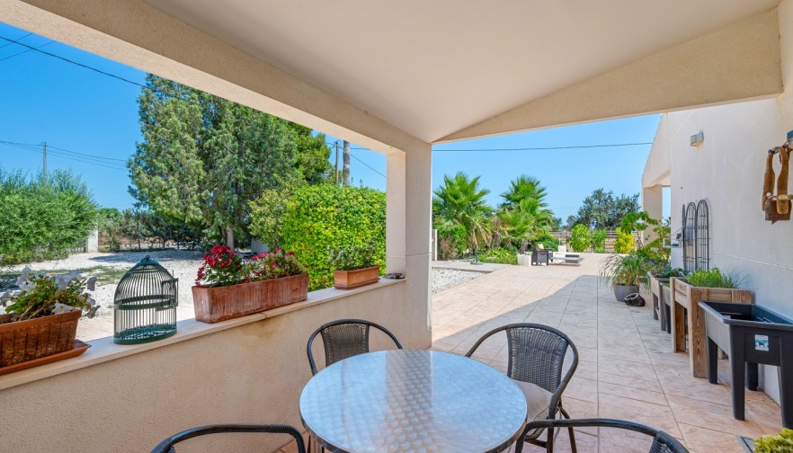 Reventa - Country estate - Elche/Elx