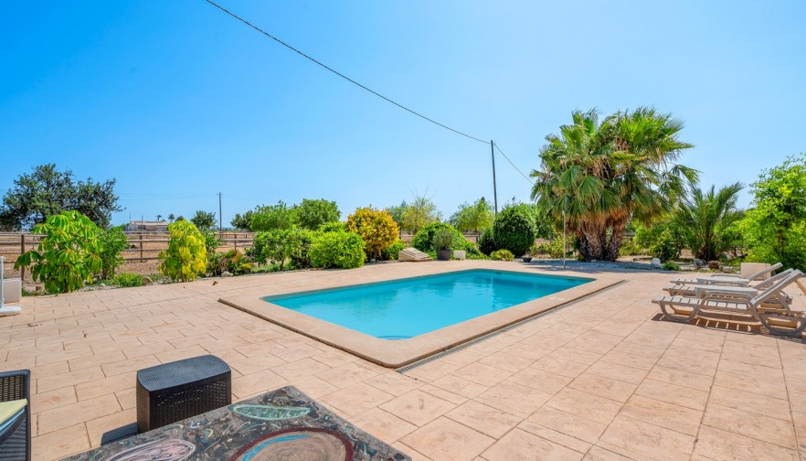 Reventa - Country estate - Elche/Elx