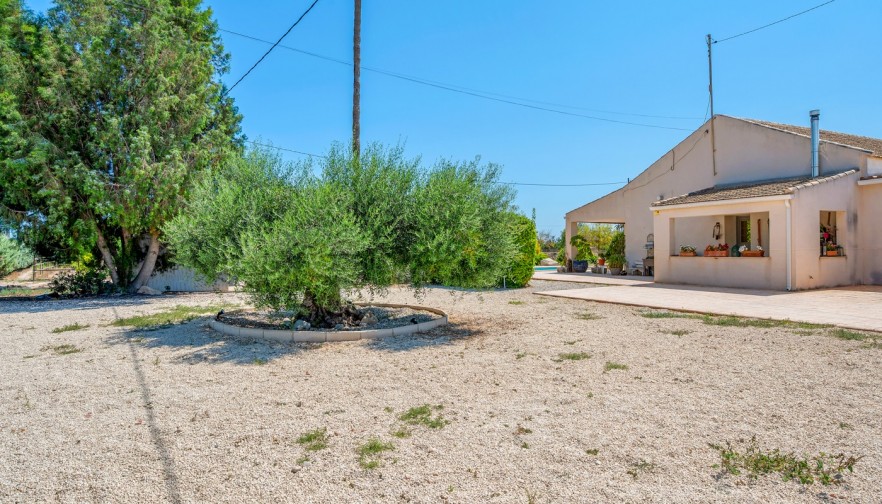 Reventa - Country estate - Elche/Elx