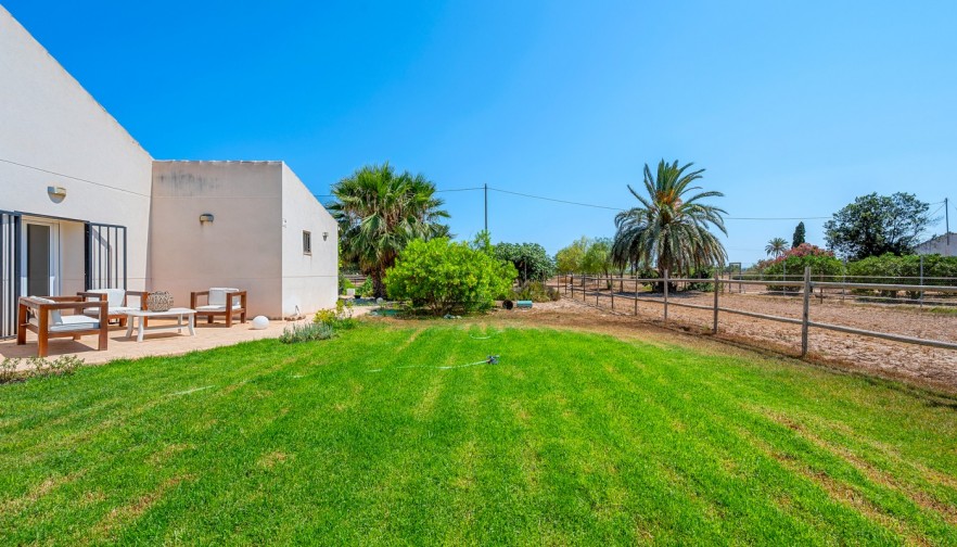 Reventa - Country estate - Elche/Elx