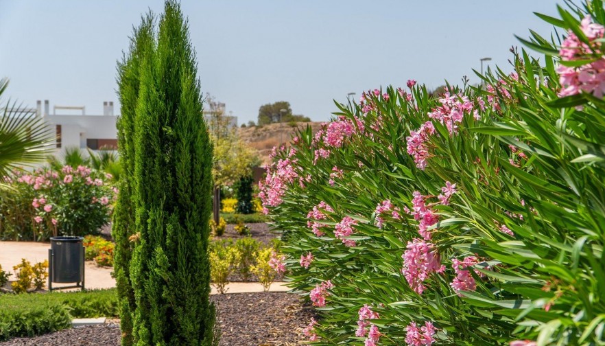 New Build - Ground Floor Bungalow - Orihuela - Vistabella Golf