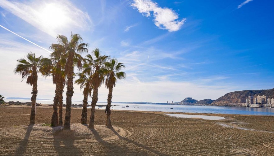 Rynek pierwotny - Willa - Els Poblets - Partida Barranquets