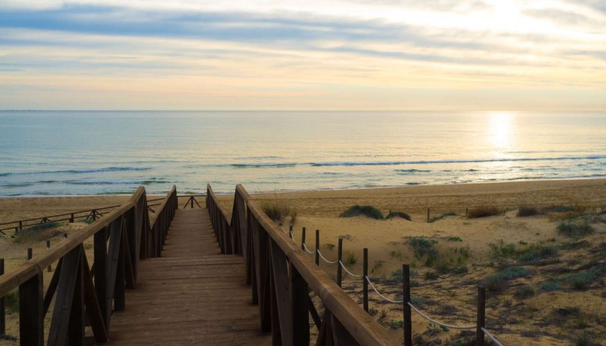 Nueva construcción  - Apartment - Guardamar del Segura