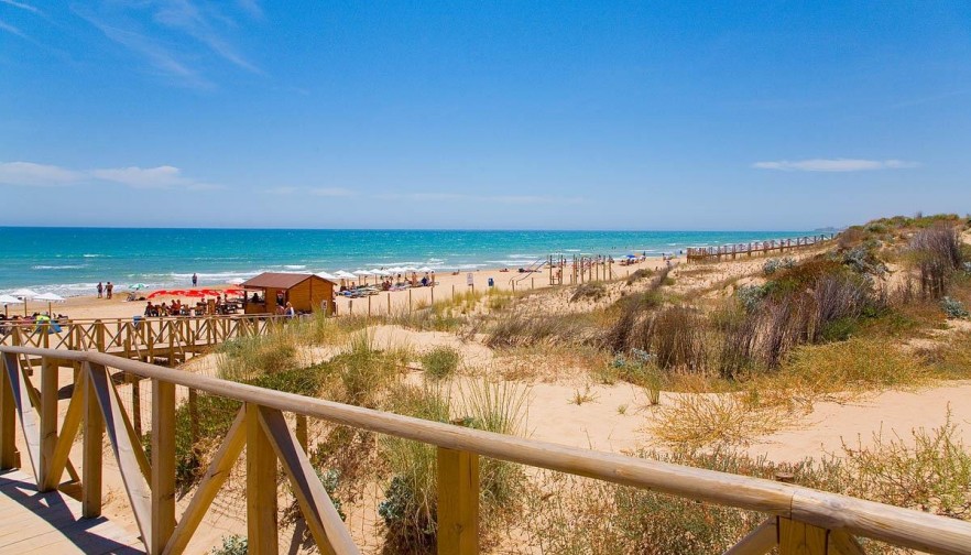 Rynek pierwotny - Apartment - Guardamar del Segura - Pueblo