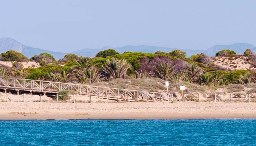 Rynek pierwotny - Apartment - Guardamar del Segura - Pueblo