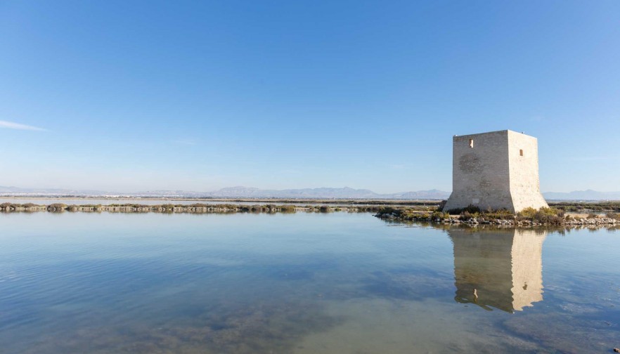 Nueva construcción  - Apartment - Santa Pola - Estacion de autobuses