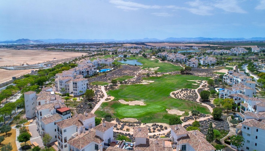 Rynek pierwotny - Willa - Sucina