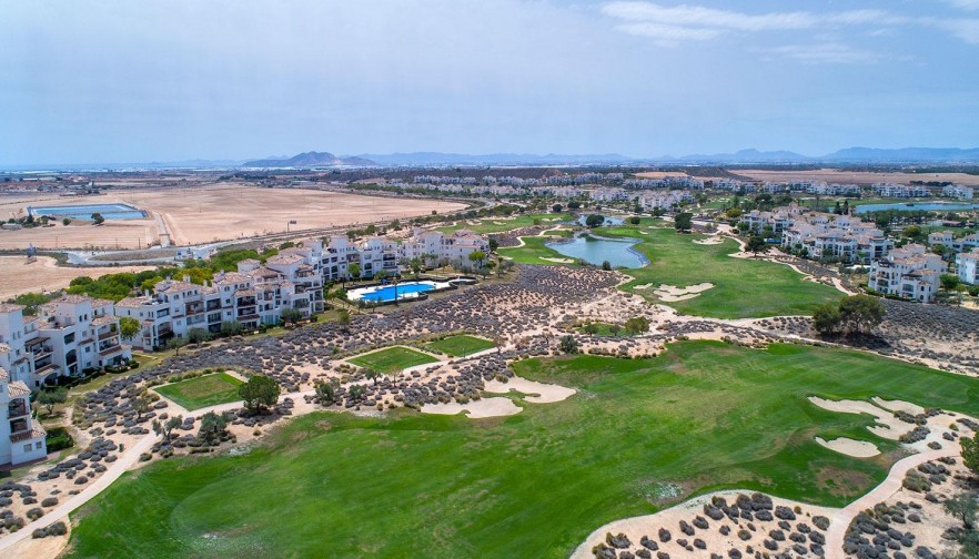 Rynek pierwotny - Willa - Sucina